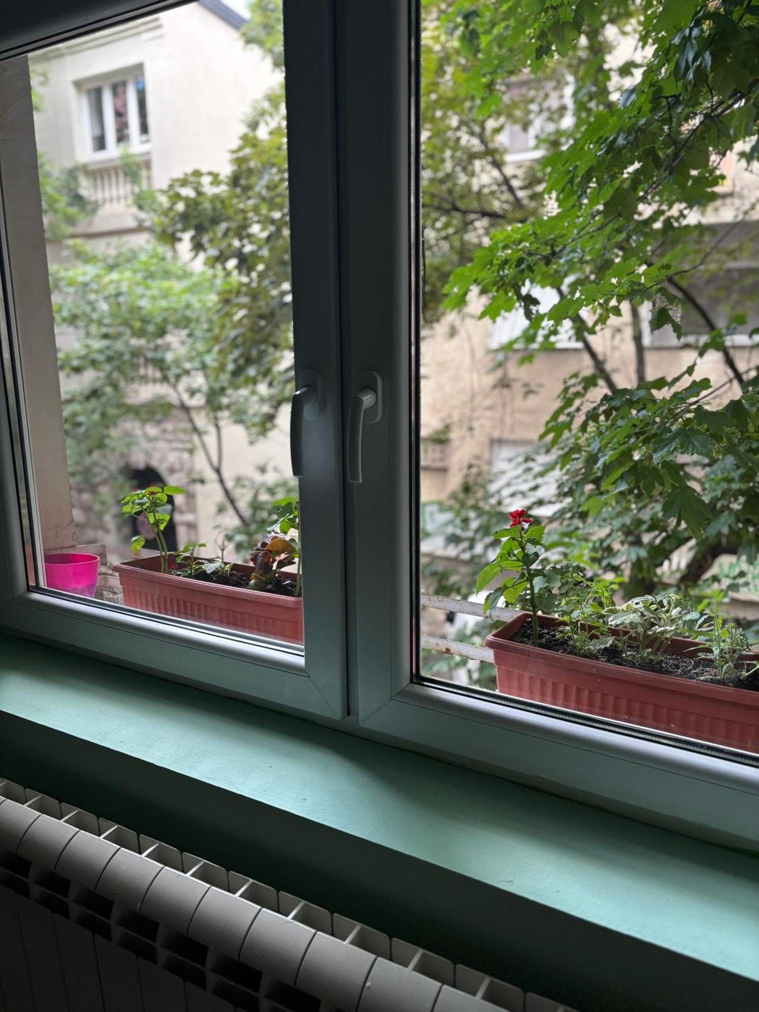 Apartment Mintis