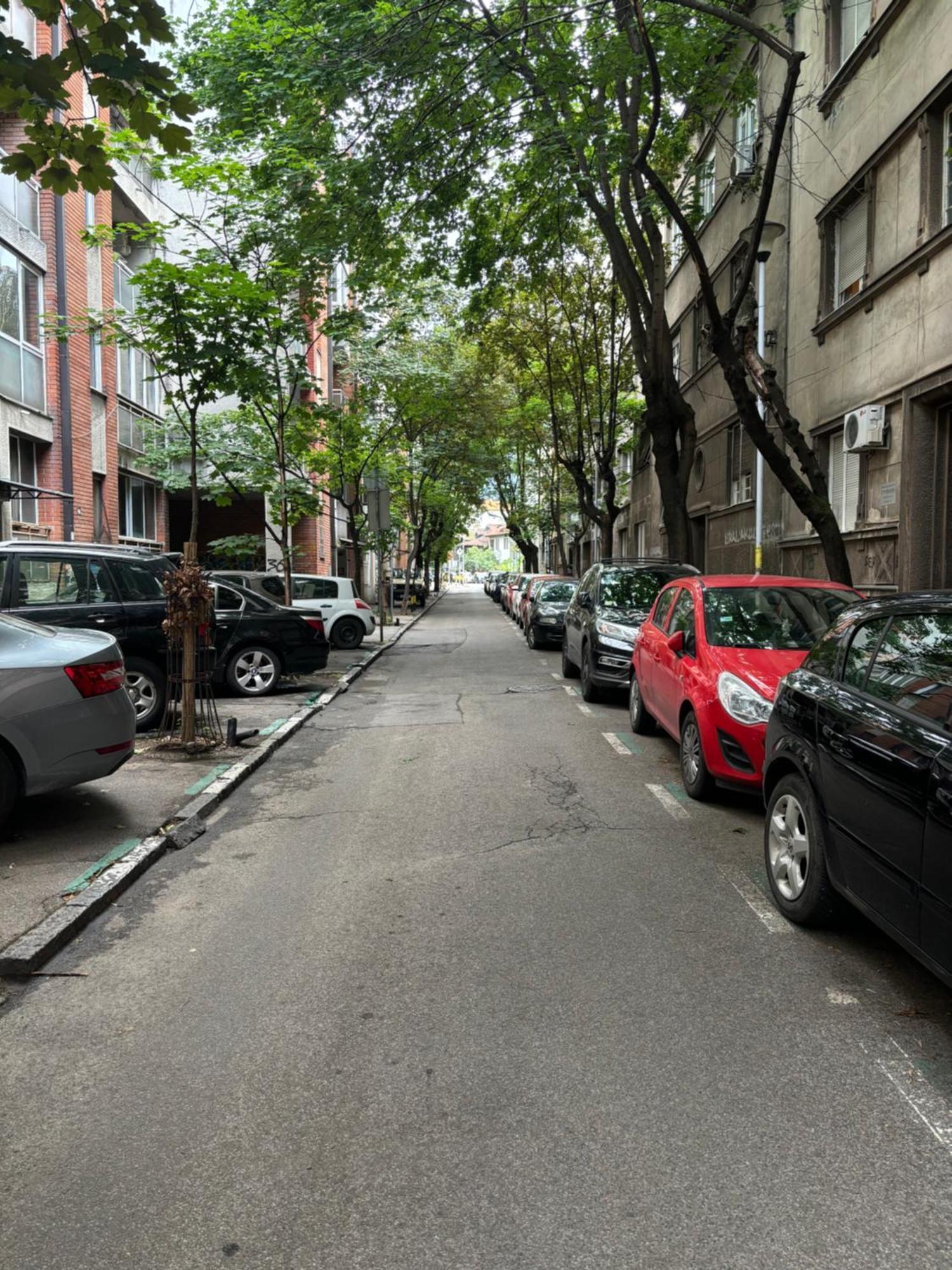 Mintis * Belgrade